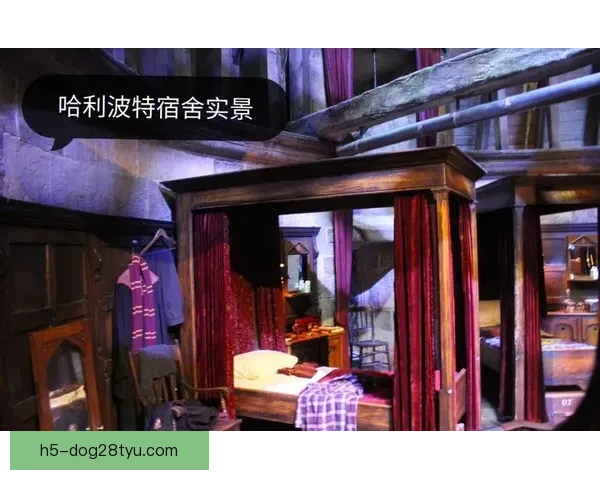 加维惊叹：这是哈利波特主题酒店吗